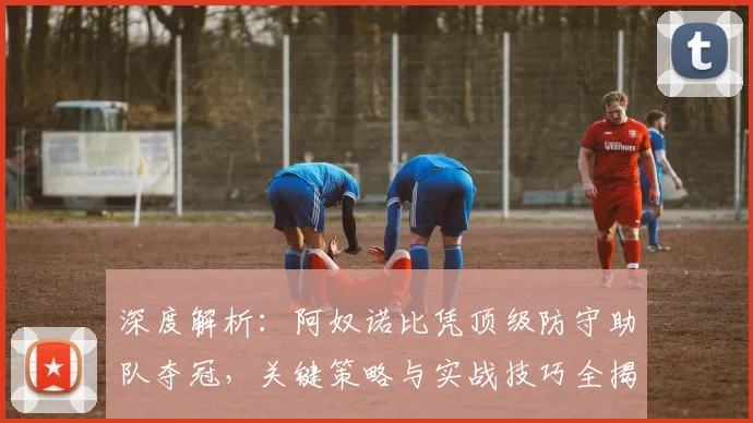 深度解析：阿奴诺比凭顶级防守助队夺冠，关键策略与实战技巧全揭秘
